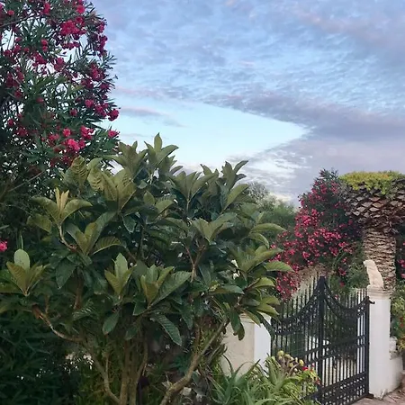 Floros איוס סטפנוס