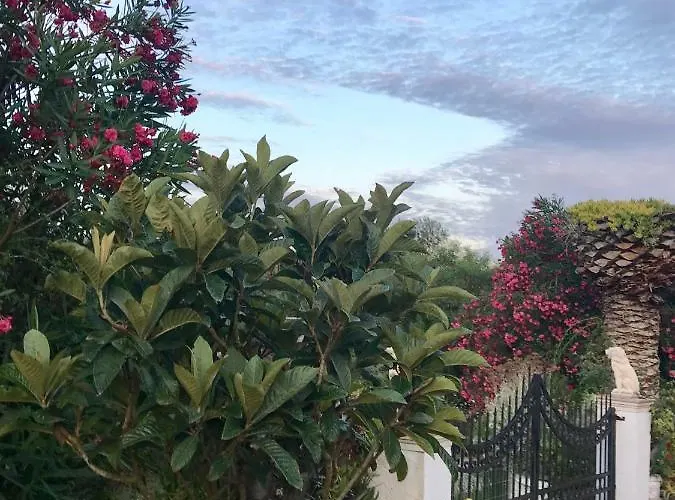 Floros Agios Stefanos Avliotes (Corfu)